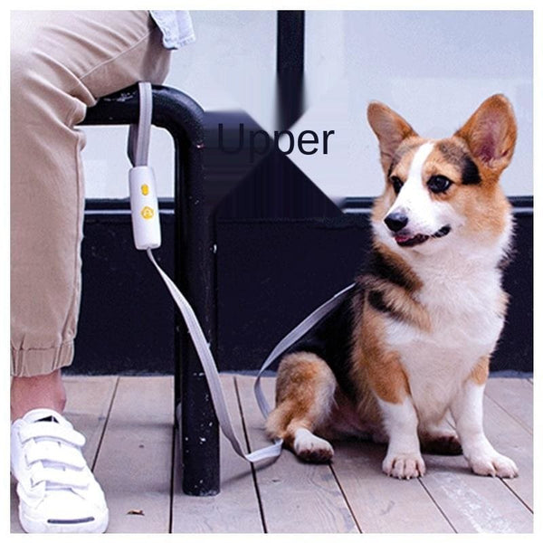 Hands Free Retractable Dog Lead - retractble lead