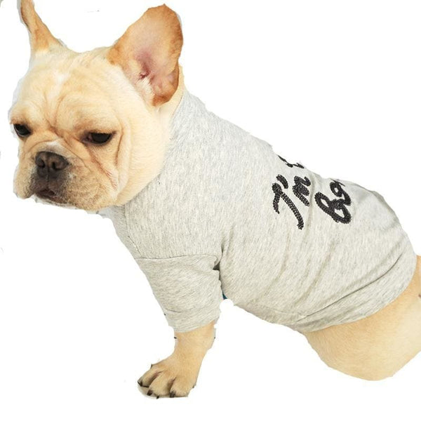 I'm the Boss Dog T-shirt - Max & Cocoa 