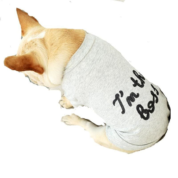 I'm the Boss Dog T-shirt - Max & Cocoa 