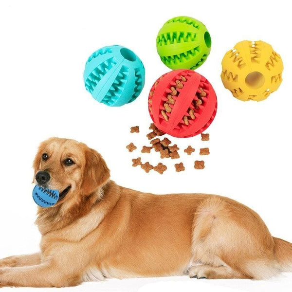 Interactive Dog Chew Treat Ball - Chew Toy
