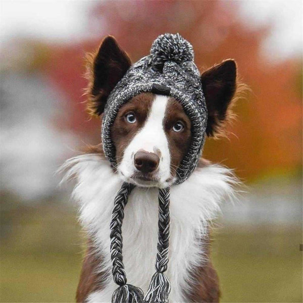 Knitted Dog Beanie - beanie