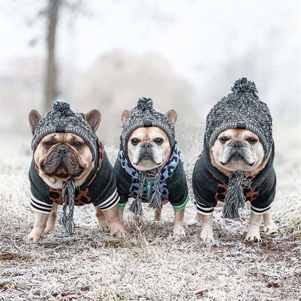 Knitted Dog Beanie - beanie