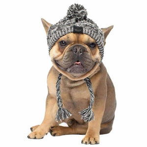 Knitted Dog Beanie - beanie