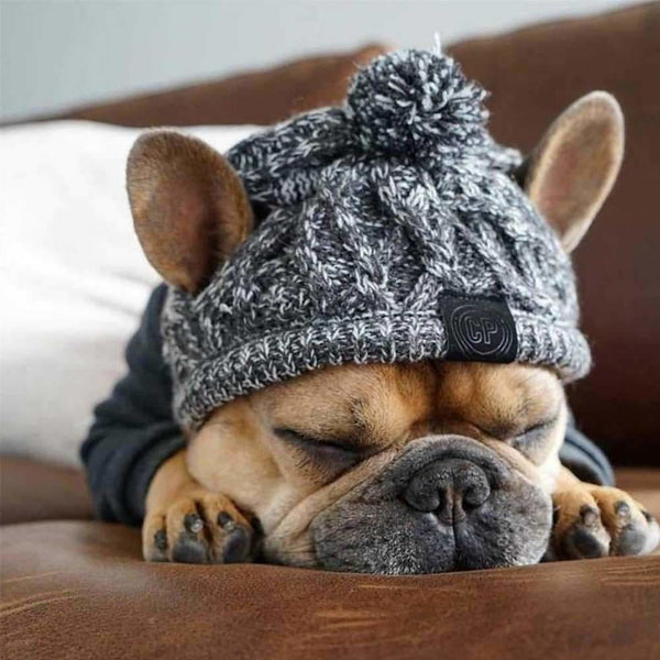 Knitted Dog Beanie - beanie