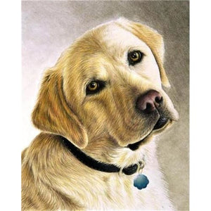 Labrador Dog Paint By Numbers - Max & Cocoa 