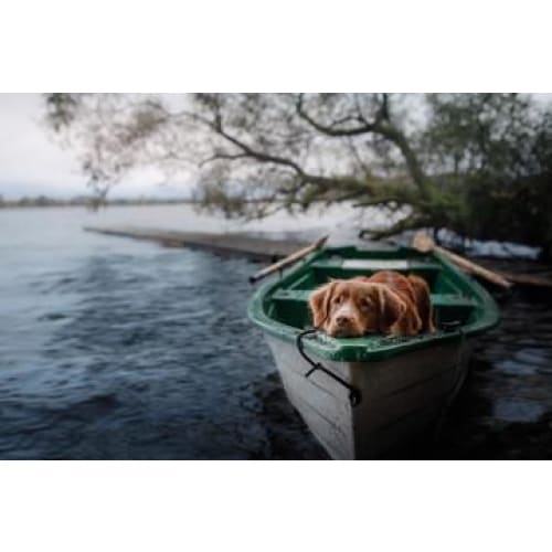 Lazy Days on the Lake Photographic Print - 30cm x 20cm / 