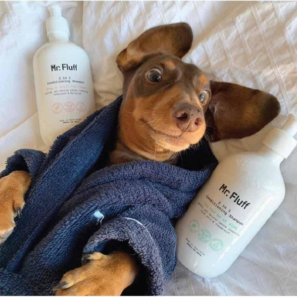 Mr Fluff  2 in 1 Conditioning Shampoo You had Me at Aloe - Max & Cocoa 