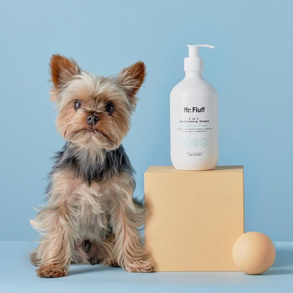 Mr Fluff  2 in 1 Conditioning Shampoo You had Me at Aloe - Max & Cocoa 