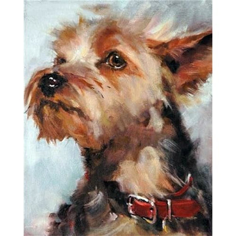 paint by numbers yorkie