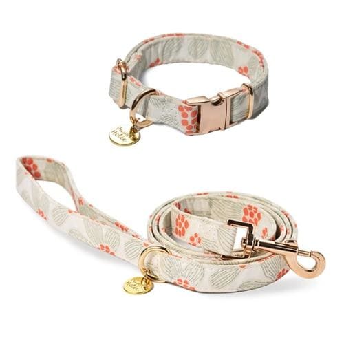 Paws Holic First Snow Design Collar & Leash - First Snow 