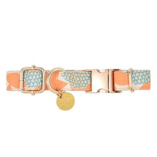Paws Holic Loquat Tree Design Dog Collar & Lead - Loquat 
