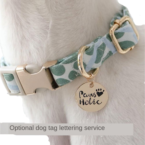 Paws Holic Mint Morning Dew Dog Collar & Leads - Collar & 