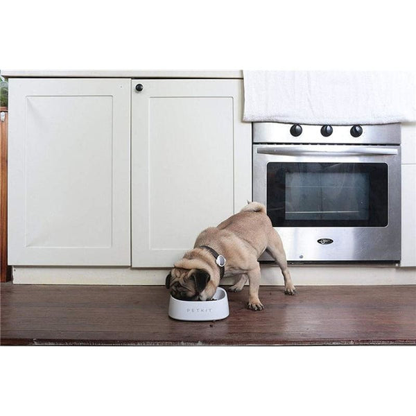 PETKIT Pet Smartbowl Weighs Food - Max & Cocoa 