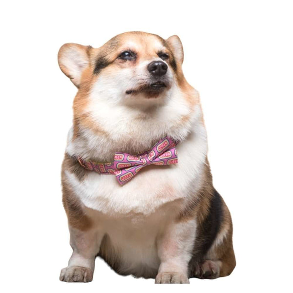 Queen Bow Tie Collar & Leash - Dog Collar & leash