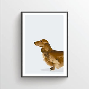 Red Brown Long Haired Dachshund Canvas Prints - 50 x 70 cm 