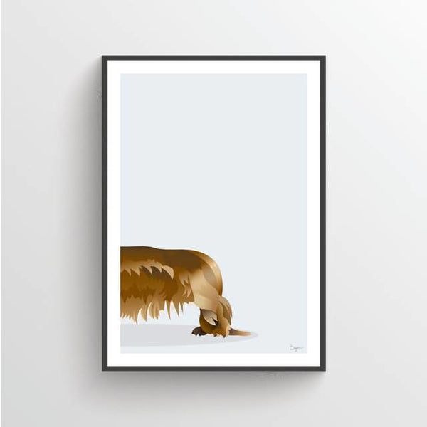 Red Brown Long Haired Dachshund Canvas Prints - 50 x 70 cm 