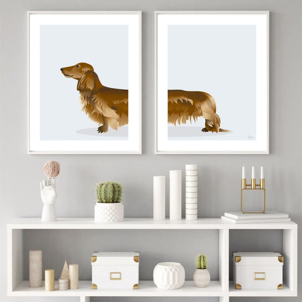 Red Brown Long Haired Dachshund Canvas Prints - canvas print