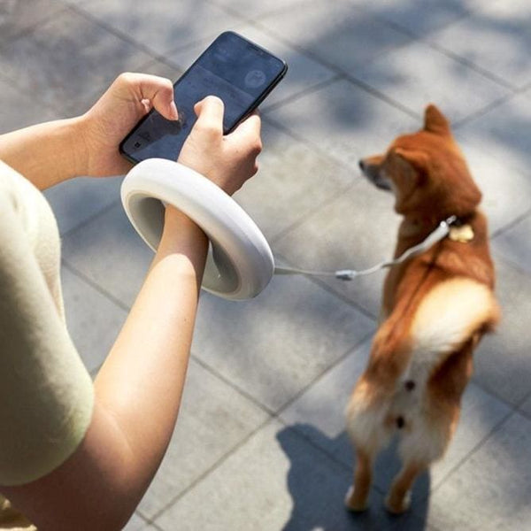 Retractable Hands Free Dog Leash - lead