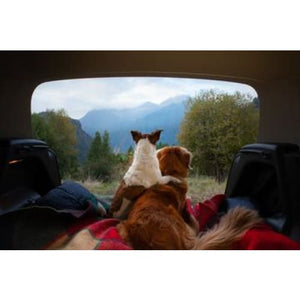 Road Trip Photographic Print - 30cm x 20cm / Canvas - 