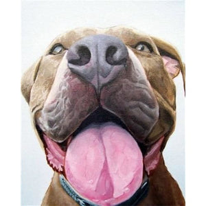 Pit Bull Paint By Numbers - Max & Cocoa 