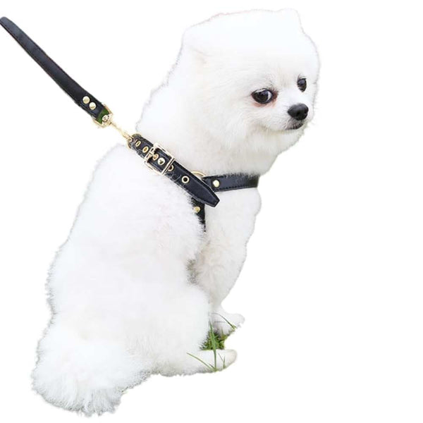 Step-in Small Dog Harness & Leash - dog harness