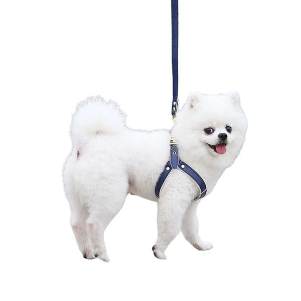 Step-in Small Dog Harness & Leash - dog harness