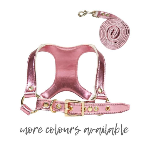 Step-in Small Dog Harness & Leash - dog harness