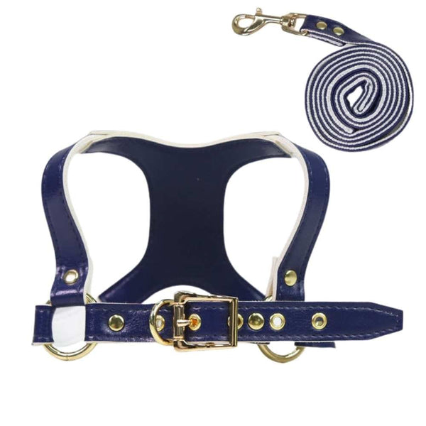 Step-in Small Dog Harness & Leash - Blue / S-4kg - dog 