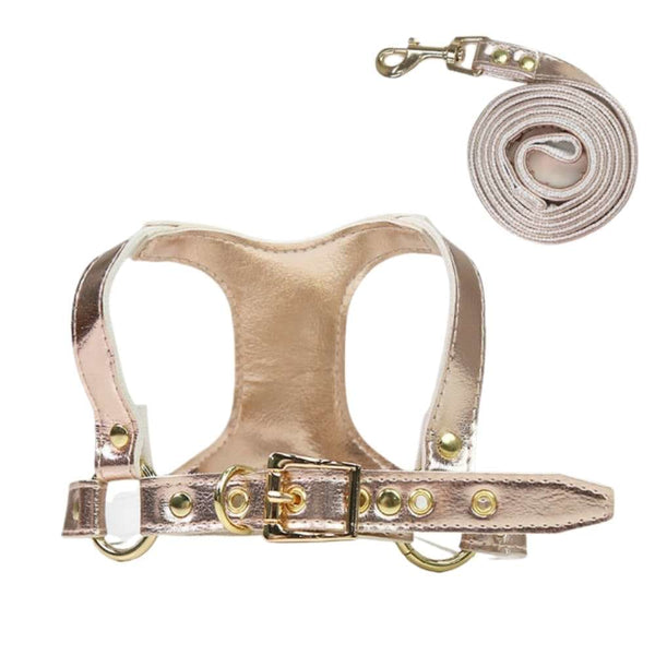 Step-in Small Dog Harness & Leash - Gold / S-4kg - dog 