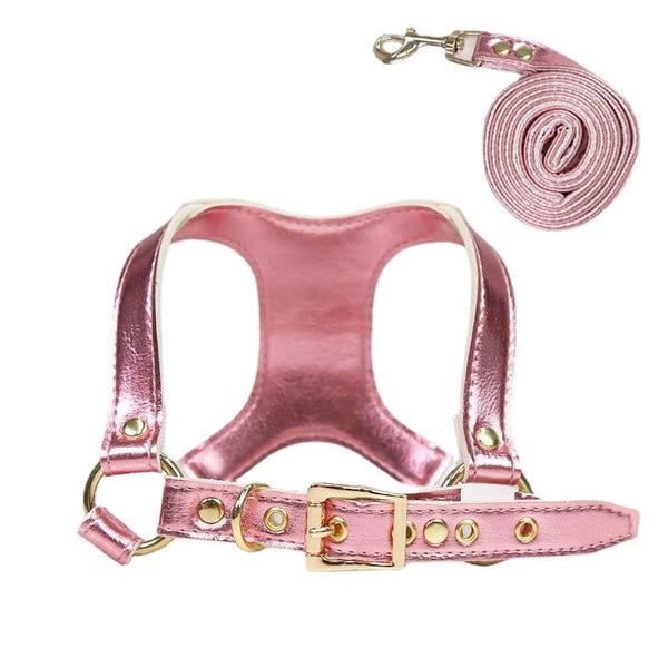 Step-in Small Dog Harness & Leash - Pink / M-8KG - dog 