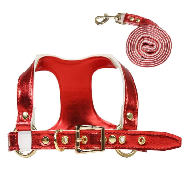 Step-in Small Dog Harness & Leash - Red / S-4kg - dog 