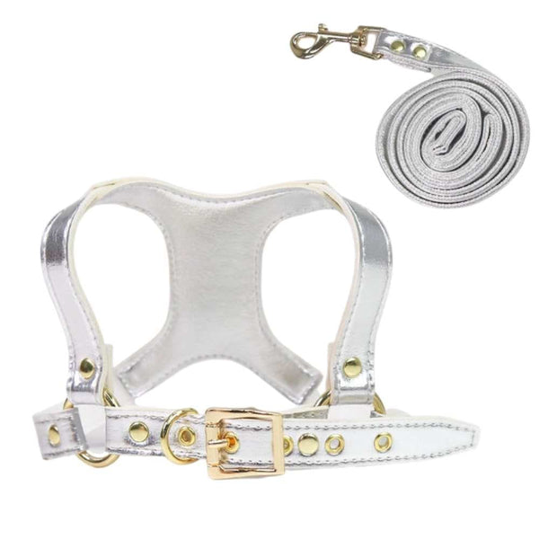 Step-in Small Dog Harness & Leash - Silver / S-4kg - dog 