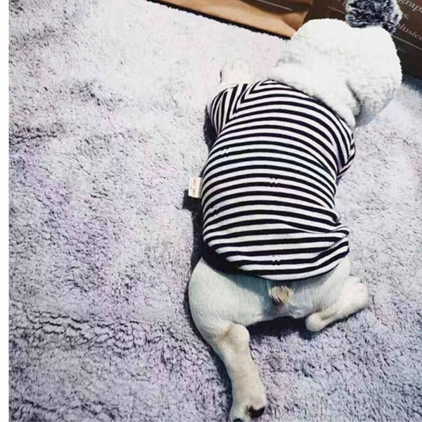 Striped Hoodie - dog hoodie