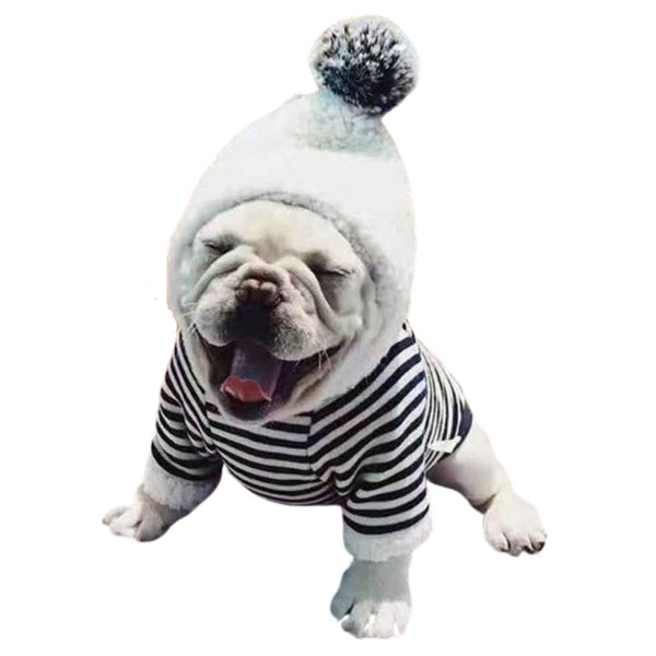 Striped Hoodie - dog hoodie