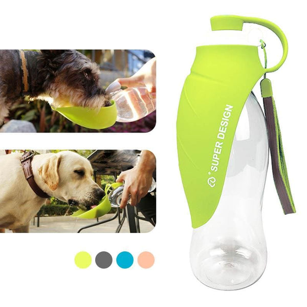 The Leaf Pet Water Bottle - Max & Cocoa 