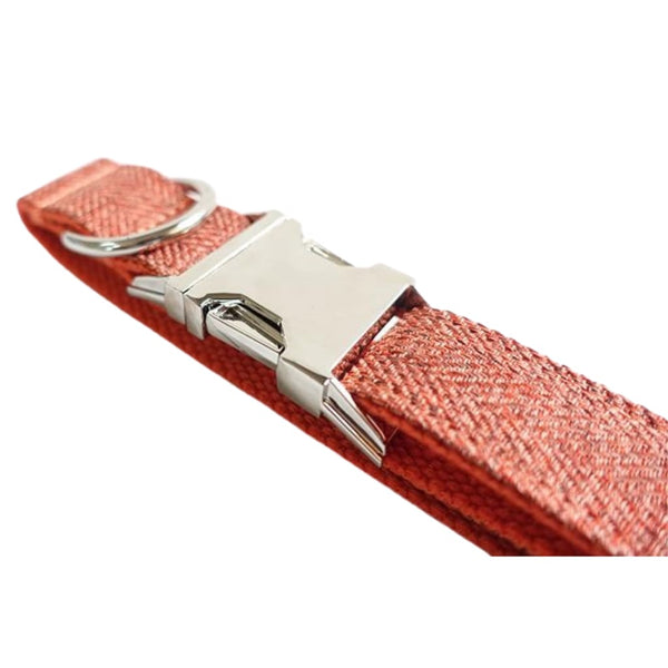 The Orange Suit Dog Collar & Leash - Collar & Leash