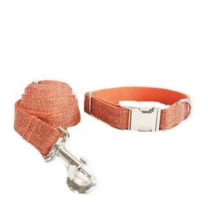 The Orange Suit Dog Collar & Leash - Dog Collar Leash Set / 