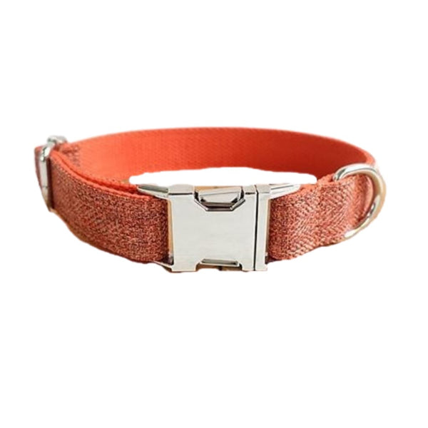 The Orange Suit Dog Collar & Leash - Dog Collar / XS - 