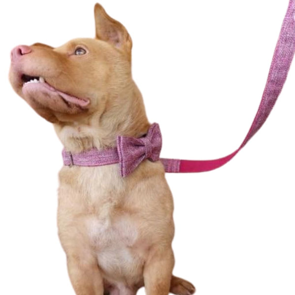 The Pink Suit Bow Tie Dog Collar & Leash - collar