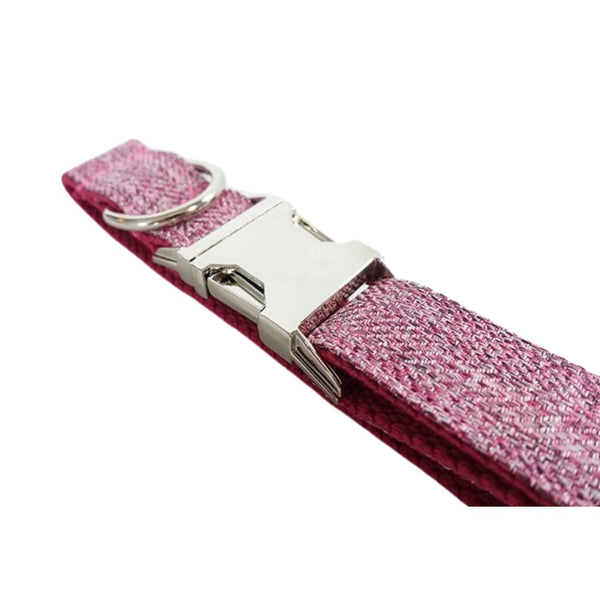 The Pink Suit Dog Collar & Leash - collar