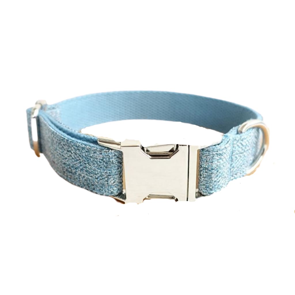 The Sky Blue Suit Dog Collar & Leash - Dog Collar / XL - 