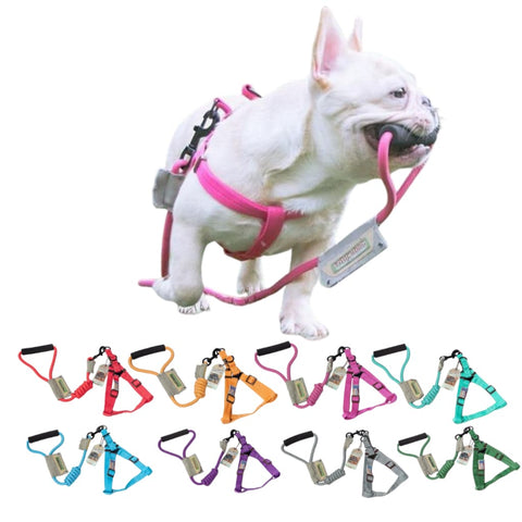 Touchdog Dog Harness & Leash Set - Collar & Leash