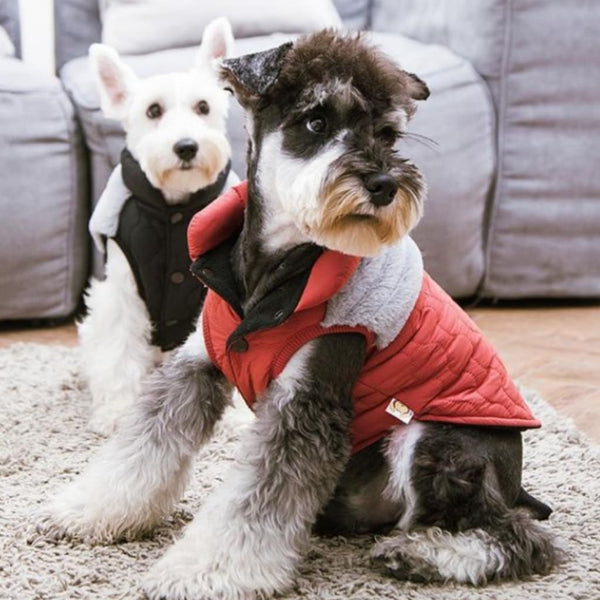 Touchdog Winter Dog Vest - dog jacket