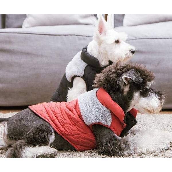 Touchdog Winter Dog Vest - dog jacket