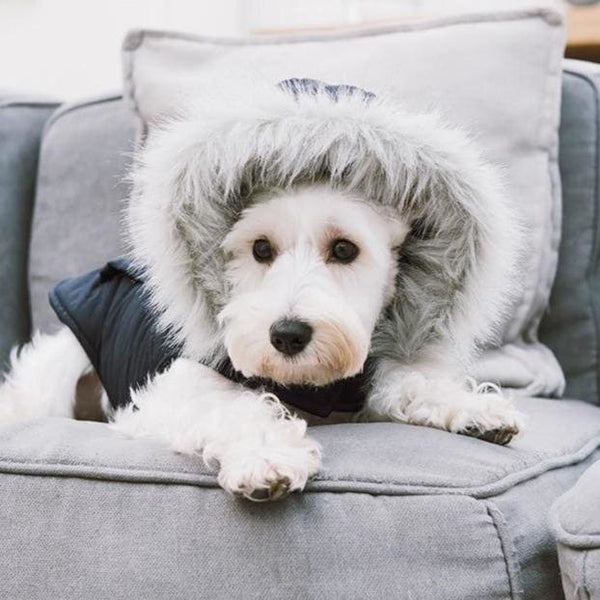 Touchdog Winter Hooded Jacket - dog jacket