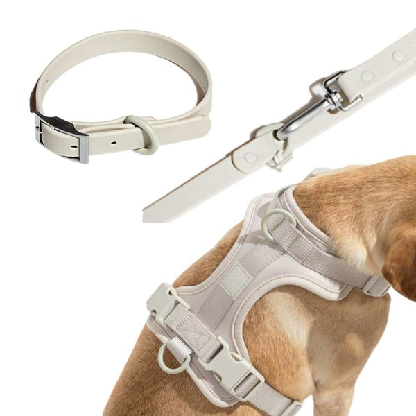PVC Rubber Collar Leash & Padded Harness Set - Grey / M - 