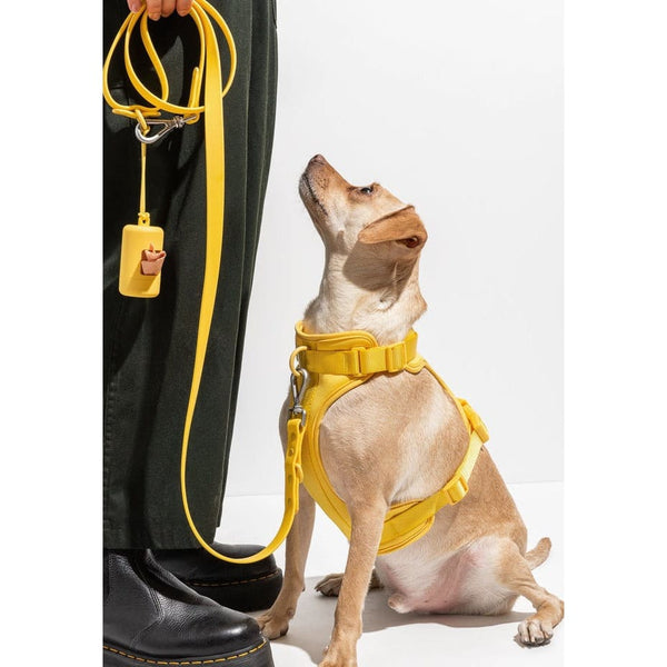 PVC Rubber Collar Leash & Padded Harness Set - Pet Collars &