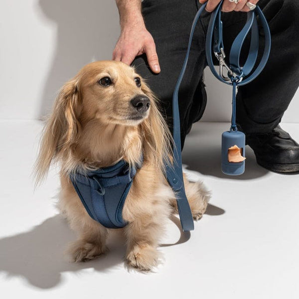 PVC Rubber Collar Leash & Padded Harness Set - Pet Collars &