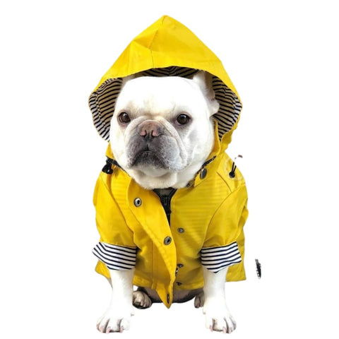 Waterproof Raincoat for Dogs - dog raincoat