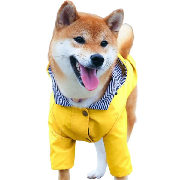 Waterproof Raincoat for Dogs - dog raincoat